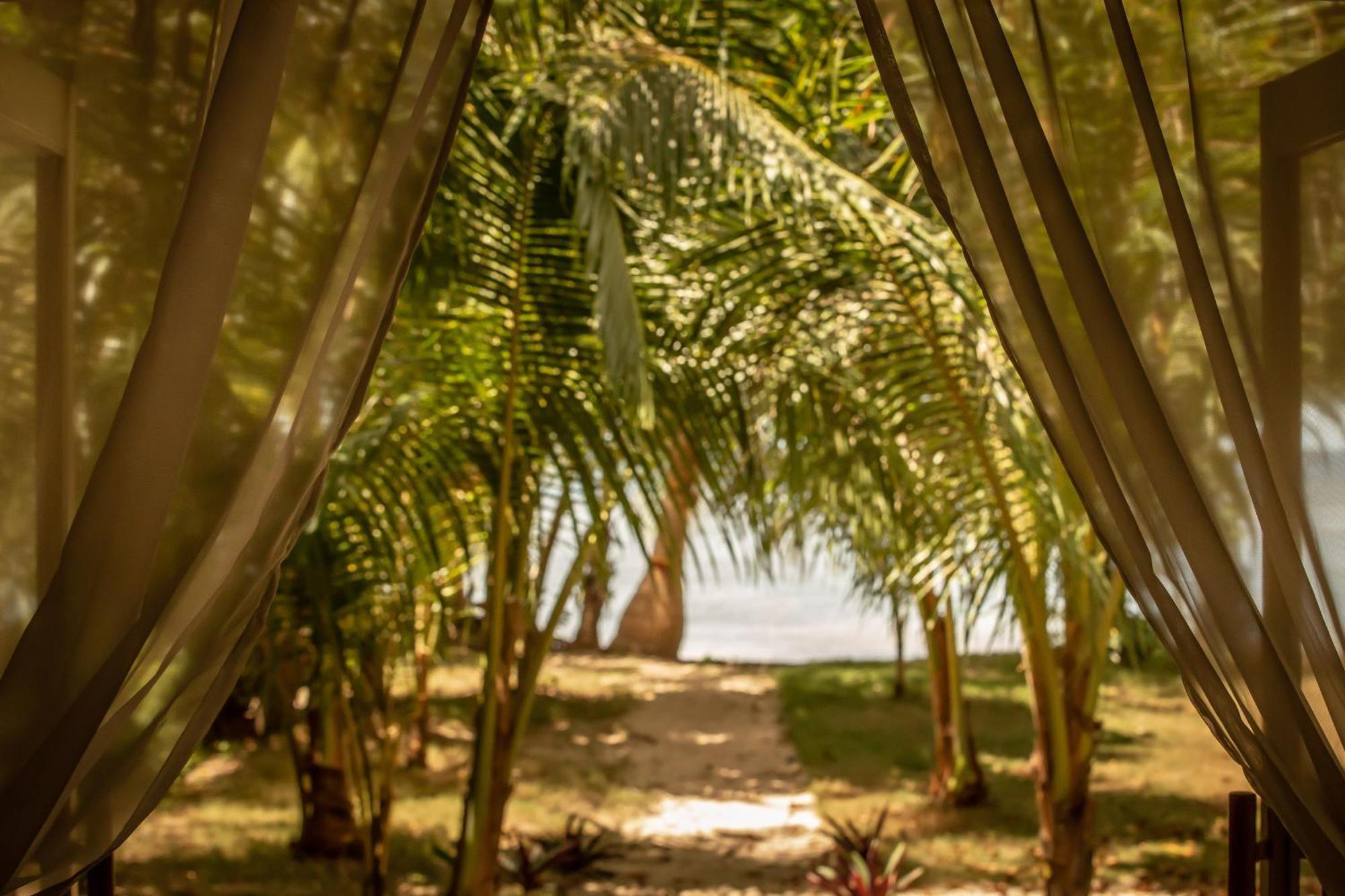The Beach House Ocam Ocam Busuanga Exteriör bild